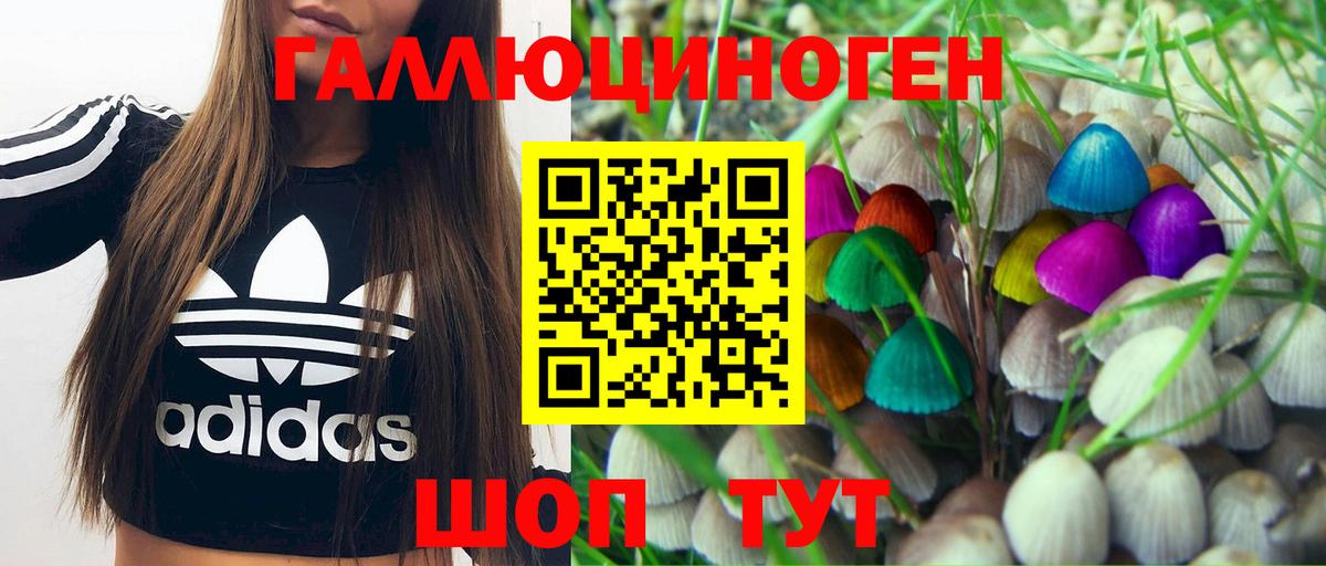 Шадринск  Псилоцибиновые грибы Psilocybe  Вход с VPN  Псилоцибиновые грибы мухоморы 
