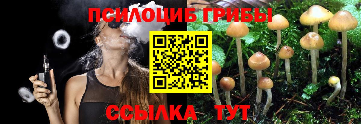 Псилоцибиновые грибы GOLDEN TEACHER Шадринск